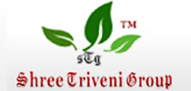 Shree Triveni Enterprises | Website Designing Company in Raipur