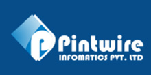 Pintwire  | Website Designing Company in Raipur