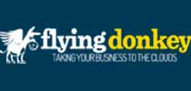 FLYING DONKEY  | Website Designing Company in Raipur