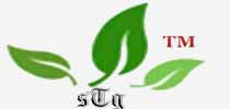Shree Triveni Enterprises  | Website Designing Company in Raipur