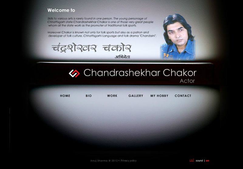 Chandrasekhar Chakor, Web Design Company in Raipur Chhattisgarh