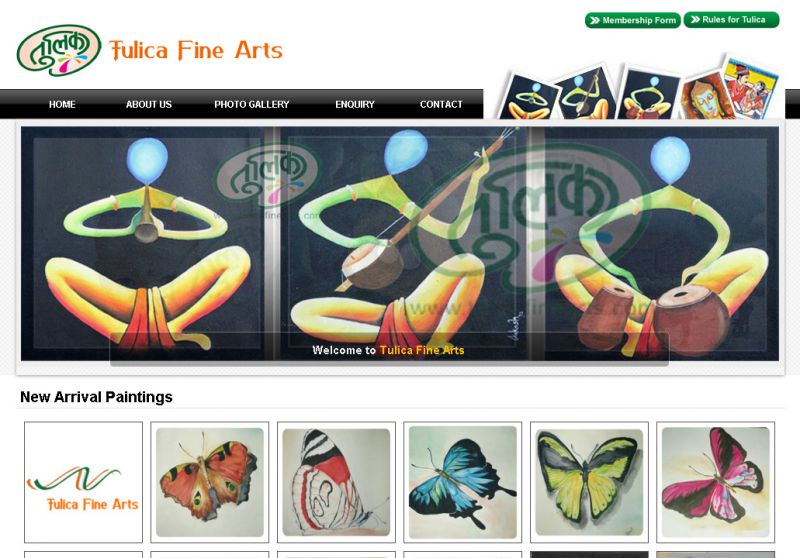 Tulica Fine Arts, Web Designing Company in Raipur Chhattisgarh