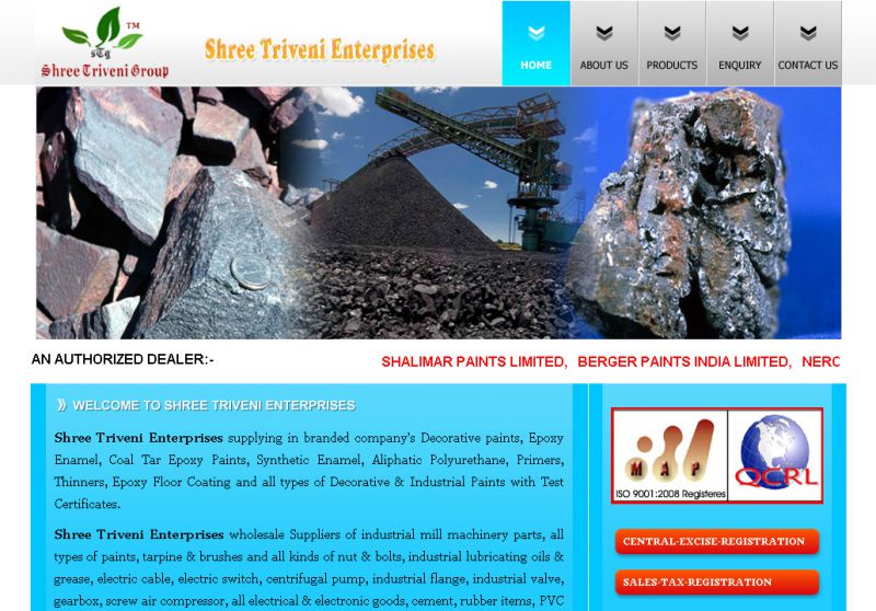 Shree Triveni Enterprises, Web Designing Company in Raipur Chhattisgarh