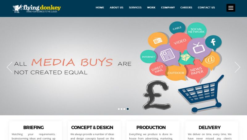 Flying Donkey, Web Design Company in Raipur Chhattisgarh