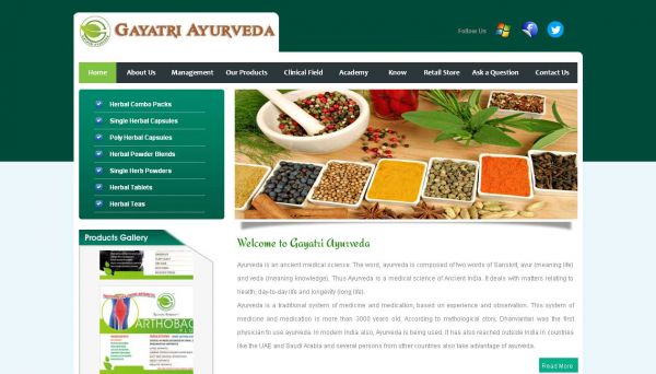 Gayatri Ayurveda, Web Design Company in Raipur Chhattisgarh