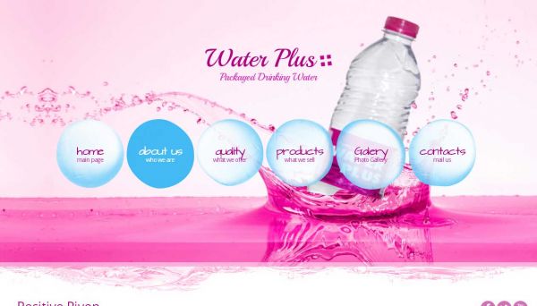 Water Plus , Web Designing Company in Raipur Chhattisgarh
