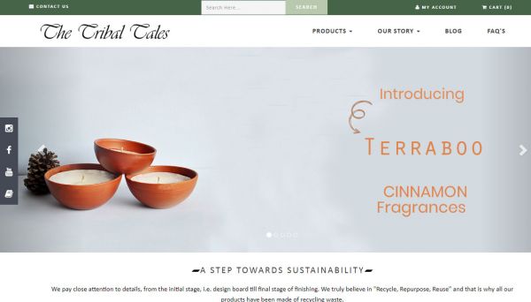 THE TRIBAL TALES, website company design in raipur
