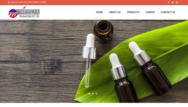 Meera Pharmachem Pvt. Ltd., website company design in raipur