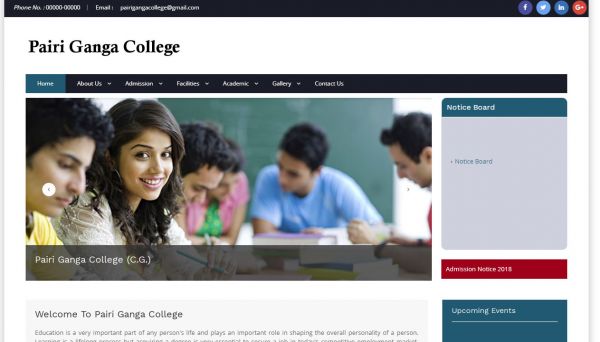 Pairi Ganga College, website company design in raipur