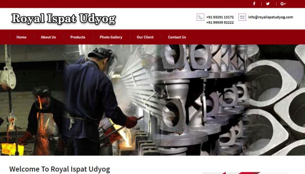 Royal Ispat Udyog, website company design in raipur