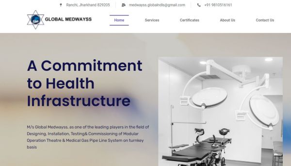 Global Medwayss, website company design in raipur