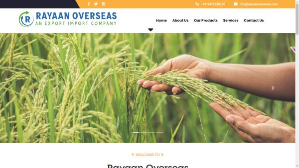 Rayaan Overseas, website company design in raipur